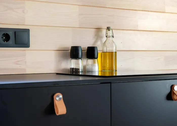 Chic Sauna Near The Sea - Sabin Nº04 Tsitre