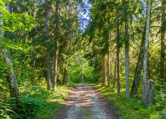 Chic Sauna Near The Sea - Sabin Nº04 * Tsitre